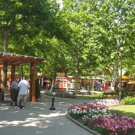 Kids' Paradise House Gæstehus