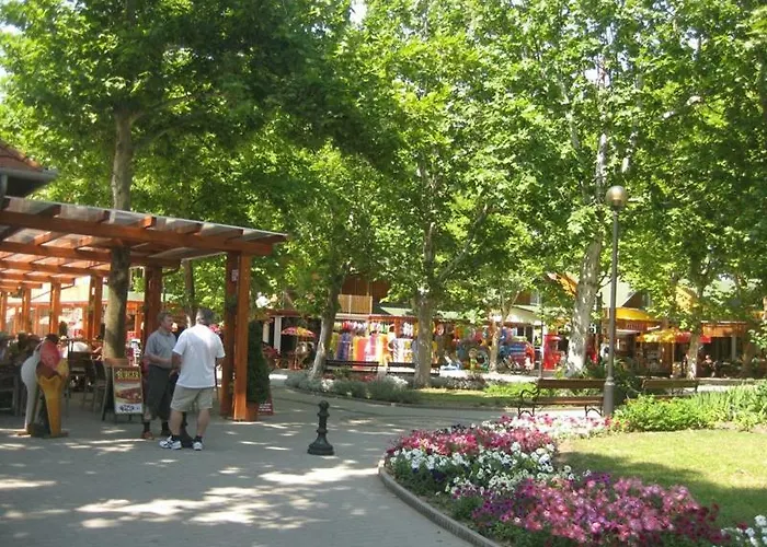 Kids' Paradise House Pensiune